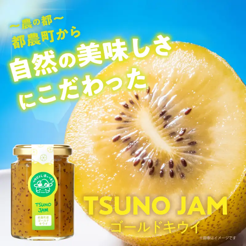 TSUNO JAMゴールドキウイ(計3個) 加工食品 フルーツ 果物 国産_T043-0057